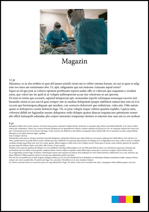 FNP00-MAG-Public-Alle vom Dienstag, 01.12.2020
